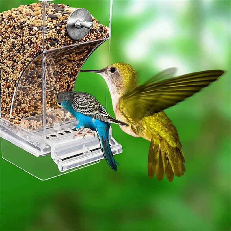 Acrylic No Mess Bird Feeder