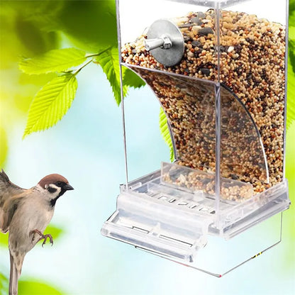 Acrylic No Mess Bird Feeder