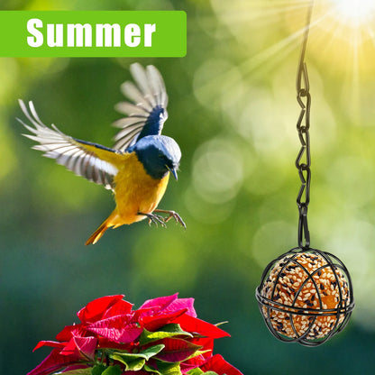 4Pcs Metal Suet Ball Bird Feeder Set with Hanging