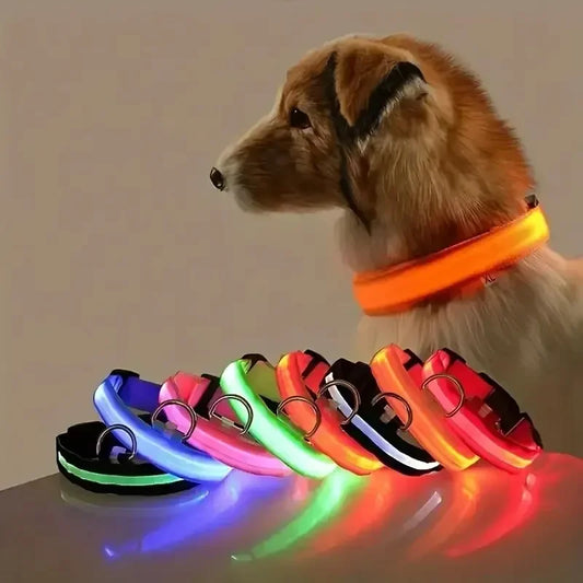 Light Up LED Dog Collar Flashing & Glow In The Dark