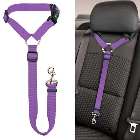 In-Car Pet Safety Lead