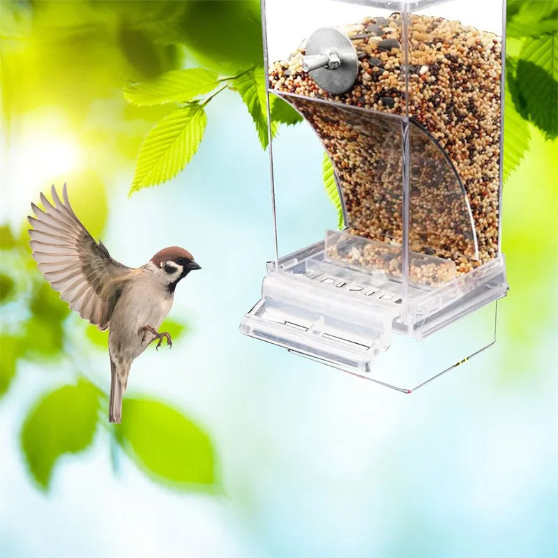 Acrylic No Mess Bird Feeder